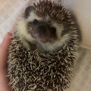 Meet your Posher, Katelyn